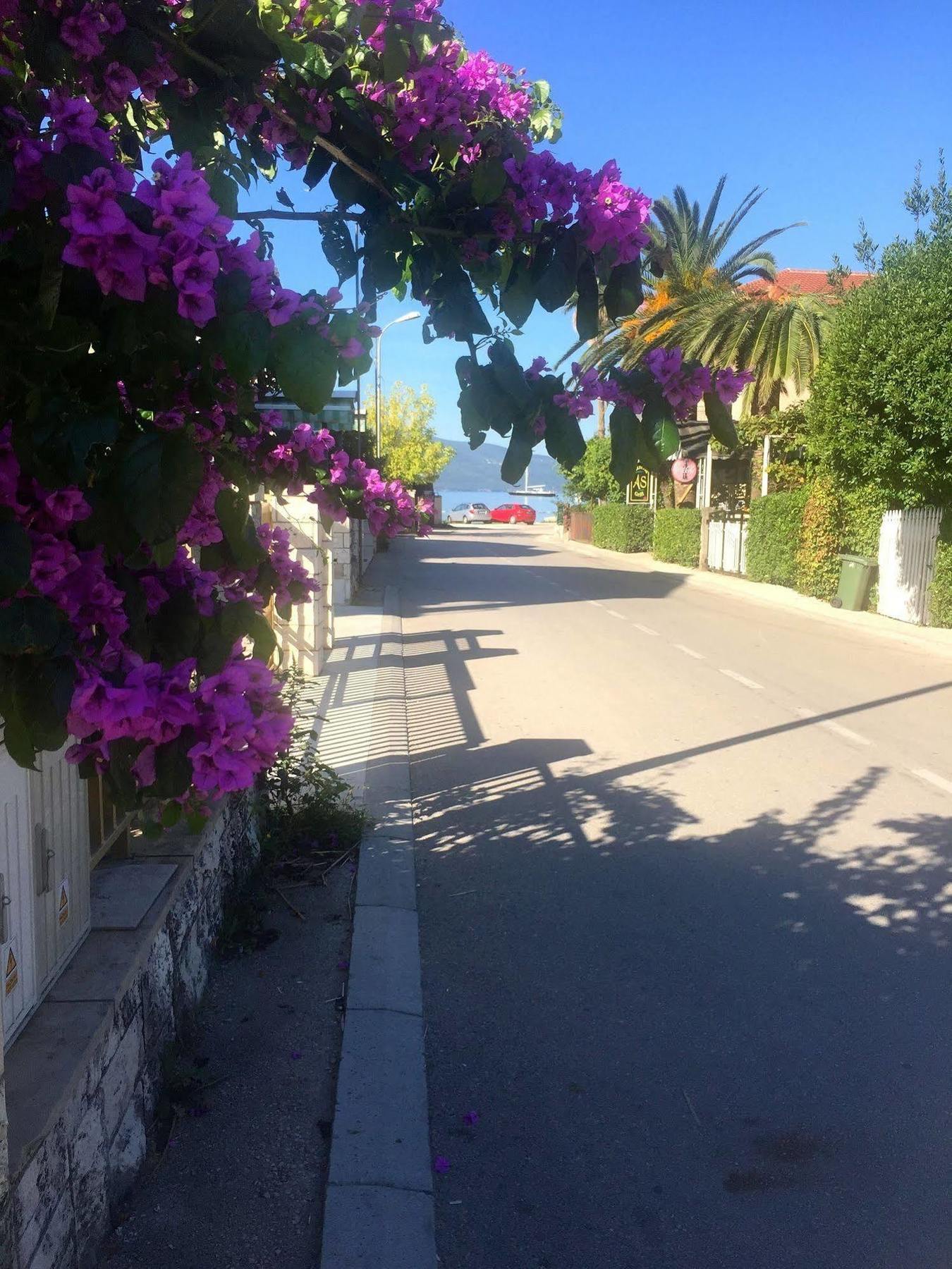Boutique Hotel Villa Royal Tivat Bagian luar foto